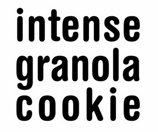 INTENSE GRANOLA COOKIE