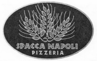 SPACCA NAPOLI PIZZERIA