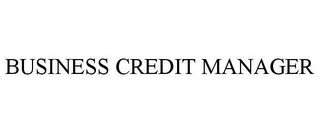 BUSINESS CREDIT MANAGER