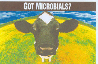 GOT MICROBIALS?