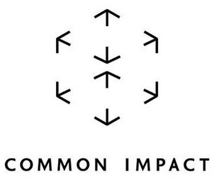 COMMON IMPACT