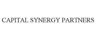 CAPITAL SYNERGY PARTNERS