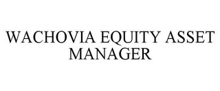 WACHOVIA EQUITY ASSET MANAGER