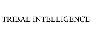 TRIBAL INTELLIGENCE