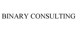 BINARY CONSULTING