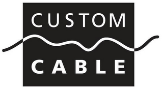 CUSTOM CABLE