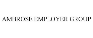 AMBROSE EMPLOYER GROUP