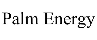 PALM ENERGY