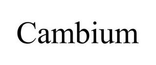 CAMBIUM