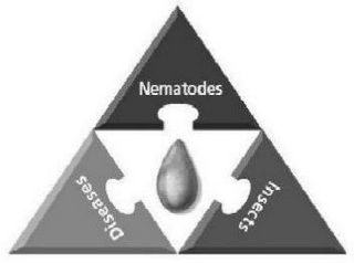 NEMATODES DISEASES INSECTS