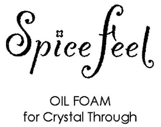 SPICE FEEL OIL FOAM FOR CRYSTAL THROUGH