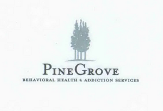 PINE GROVE BEHAVIORAL HEALTH & ADDICTION SERVICES