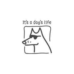 IT'S A DOG'S LIFE