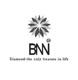 BNN DIAMOND-THE ONLY TREASURE IN LIFE