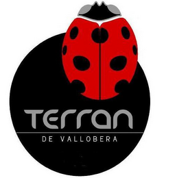 TERRAN DE VALLOBERA