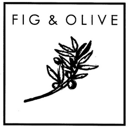 FIG & OLIVE