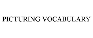 PICTURING VOCABULARY