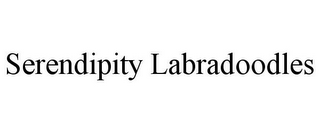 SERENDIPITY LABRADOODLES