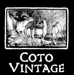 COTO VINTAGE