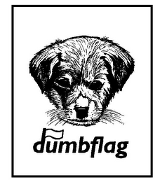 DUMBFLAG