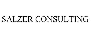 SALZER CONSULTING