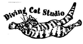 DIVING CAT STUDIO