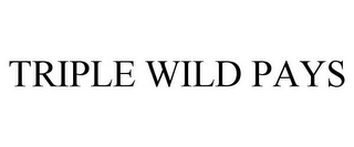 TRIPLE WILD PAYS