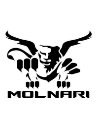 MOLNARI