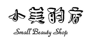 SMALL BEAUTY SHOP