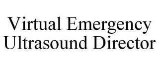 VIRTUAL EMERGENCY ULTRASOUND DIRECTOR