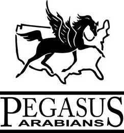 PEGASUS ARABIANS