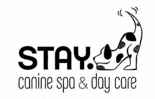 STAY. CANINE SPA & DAY CARE