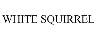 WHITE SQUIRREL