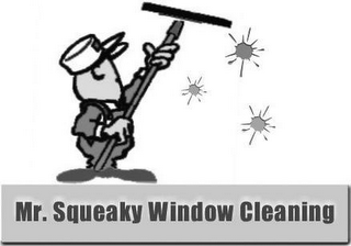 MR. SQUEAKY WINDOW CLEANING