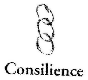 CONSILIENCE