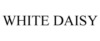 WHITE DAISY