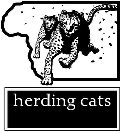 HERDING CATS