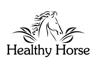 HEALTHY HORSE
