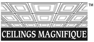 CEILINGS MAGNIFIQUE