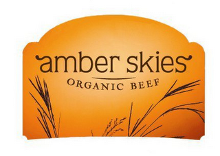 AMBER SKIES ORGANIC BEEF