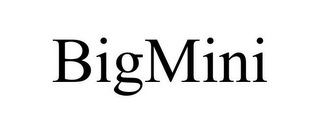 BIGMINI