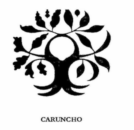 CARUNCHO