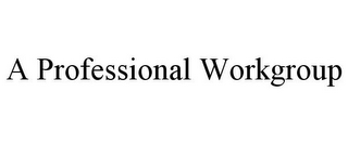 A PROFESSIONAL WORKGROUP