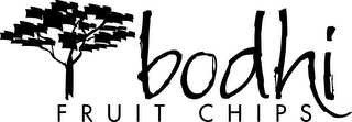 BODHI FRUIT CHIPS