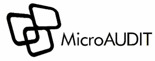 MICROAUDIT