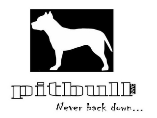 PITBULL NYC NEVER BACK DOWN...