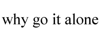 WHY GO IT ALONE