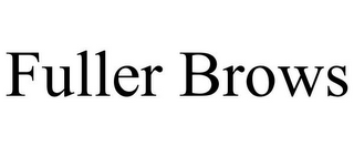 FULLER BROWS