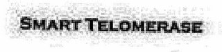 SMART TELOMERASE