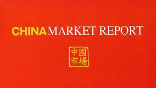 CHINA MARKET REPORT
